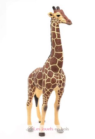 giraffe male figure PA50149-3612 Papo 7