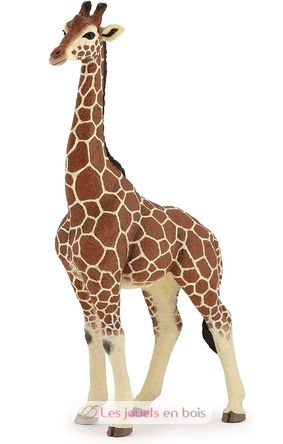 giraffe male figure PA50149-3612 Papo 5