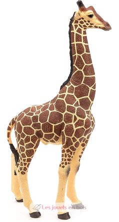 giraffe male figure PA50149-3612 Papo 4