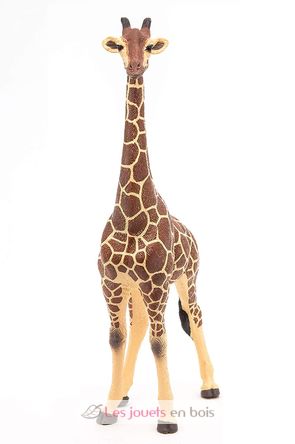 giraffe male figure PA50149-3612 Papo 3