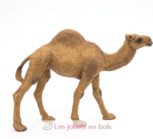 Dromedary figure PA50151-3375 Papo 8