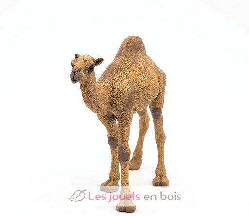 Dromedary figure PA50151-3375 Papo 7