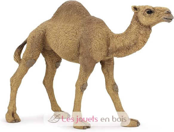 Dromedary figure PA50151-3375 Papo 6