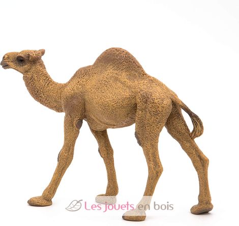 Dromedary figure PA50151-3375 Papo 5