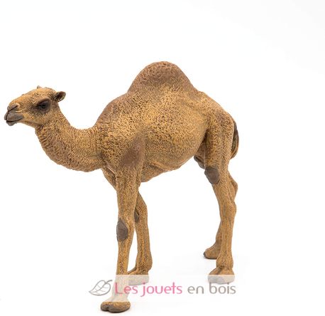 Dromedary figure PA50151-3375 Papo 3