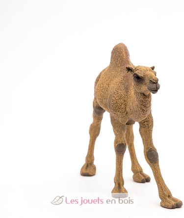 Dromedary figure PA50151-3375 Papo 2