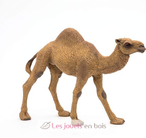 Dromedary figure PA50151-3375 Papo 1