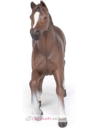 Anglo Arab Mare Figurine PA51075-2951 Papo 5