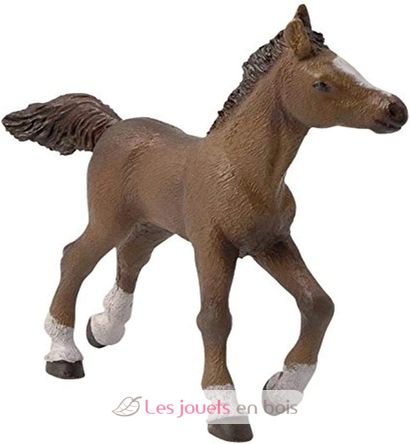 Anglo Arab colt figure PA51076-2952 Papo 1