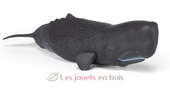 Sperm whale figure PA56036 Papo 1