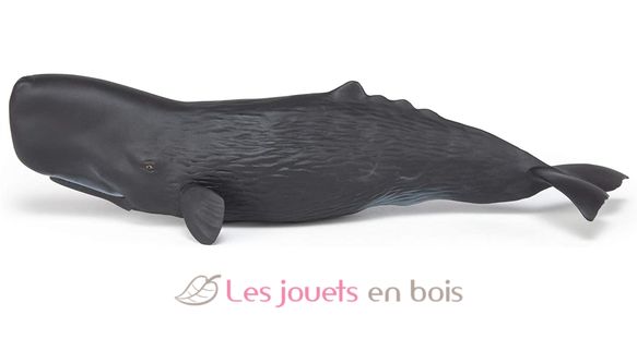 Sperm whale figure PA56036 Papo 3
