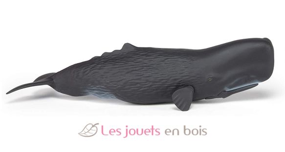 Sperm whale figure PA56036 Papo 4