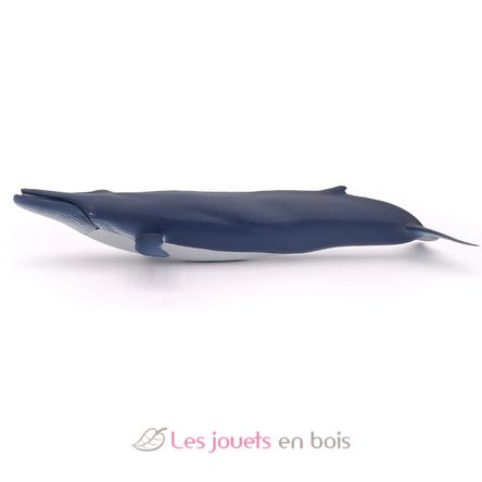 Blue whale PA56037 Papo 4