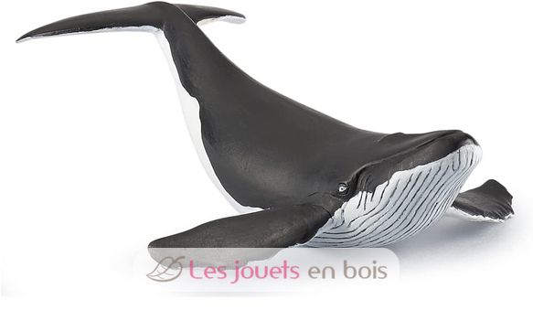 Whale calf figure PA56035 Papo 7