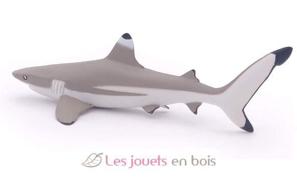 Blacktip reef shark figure PA56034 Papo 6