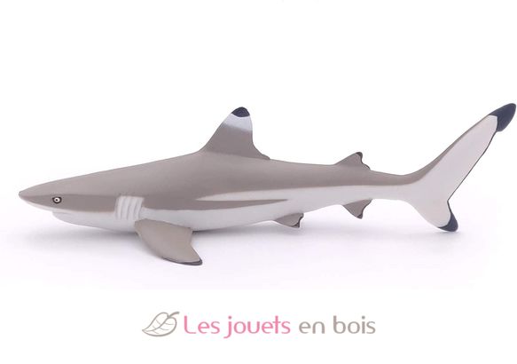 Blacktip reef shark figure PA56034 Papo 5