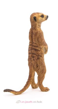 Standing Meerkat Figurine PA50206 Papo 4