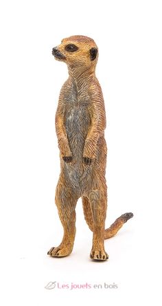 Standing Meerkat Figurine PA50206 Papo 2