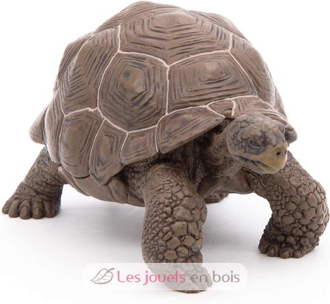 Galapagos tortoise figurine PA50161-3929 Papo 6