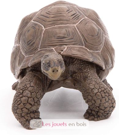 Galapagos tortoise figurine PA50161-3929 Papo 5