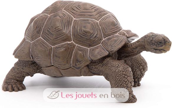 Galapagos tortoise figurine PA50161-3929 Papo 4