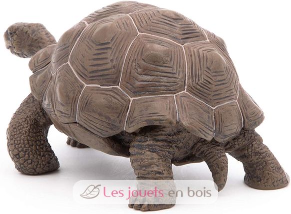 Galapagos tortoise figurine PA50161-3929 Papo 3