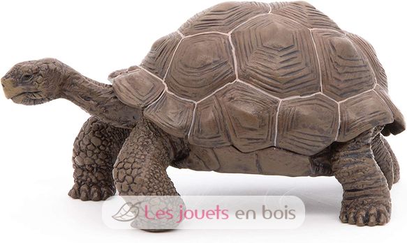Galapagos tortoise figurine PA50161-3929 Papo 2