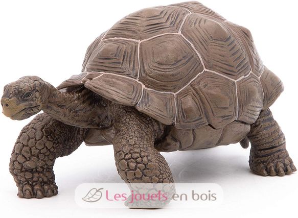 Galapagos tortoise figurine PA50161-3929 Papo 1