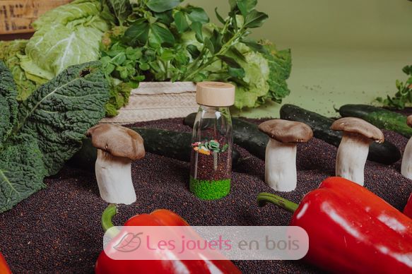 Veggies Learn Bottle PB85753 Petit Boum 6