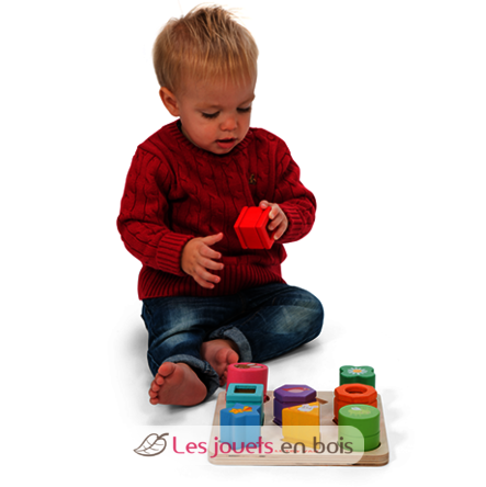 Sensory Shapes LTV-PL089 Le Toy Van 3