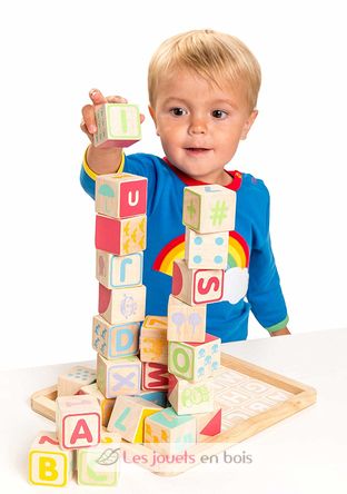 ABC wooden blocks LTV-PL101 Le Toy Van 4