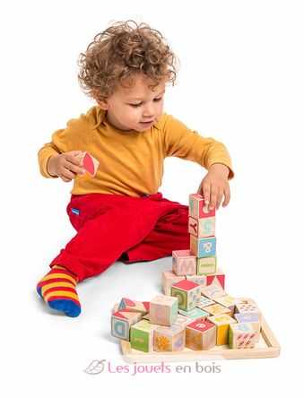 ABC wooden blocks LTV-PL101 Le Toy Van 8