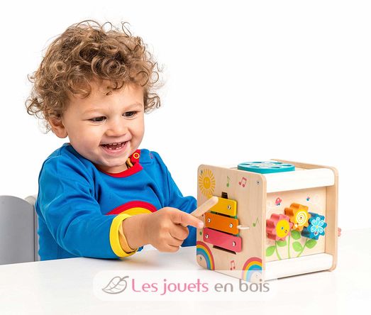 Petit Activity Cube LTV-PL105 Le Toy Van 3
