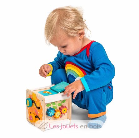 Petit Activity Cube LTV-PL105 Le Toy Van 4