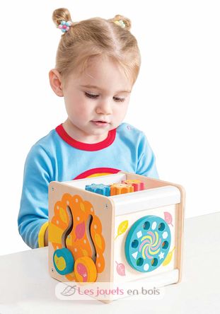 Petit Activity Cube LTV-PL105 Le Toy Van 5