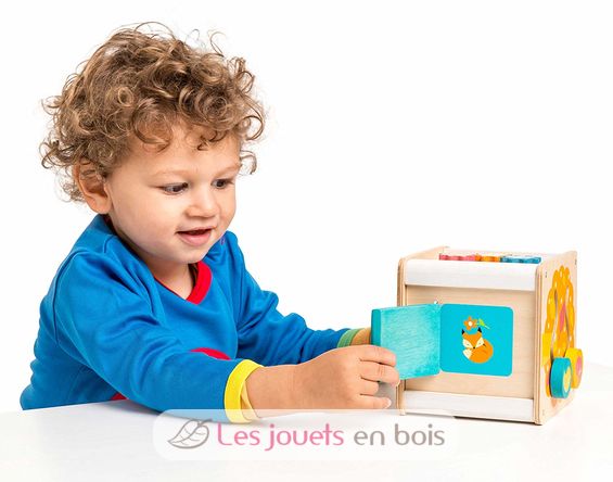 Petit Activity Cube LTV-PL105 Le Toy Van 6