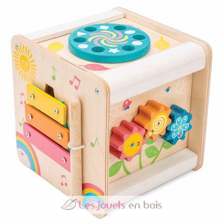 Petit Activity Cube LTV-PL105 Le Toy Van 1