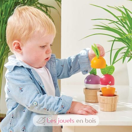 Stacking Veggies LTV-PL121 Le Toy Van 3