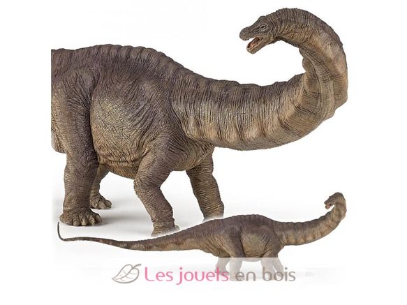 Apatosaurus figurine PA55039-4800 Papo 2