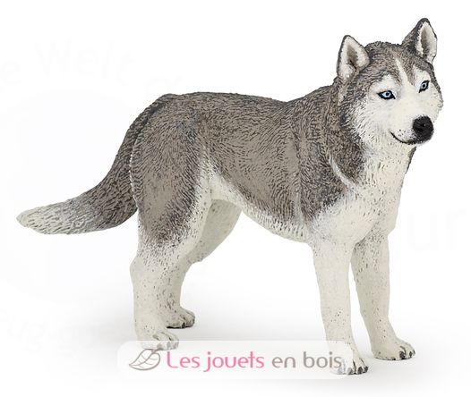 Siberian Husky Figurine PA54035-3964 Papo 1