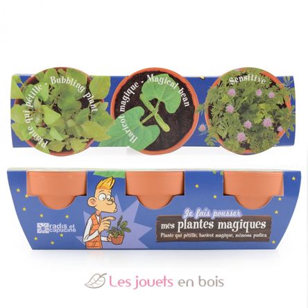 Set of 3 magic plants RC-034137 Radis et Capucine 4