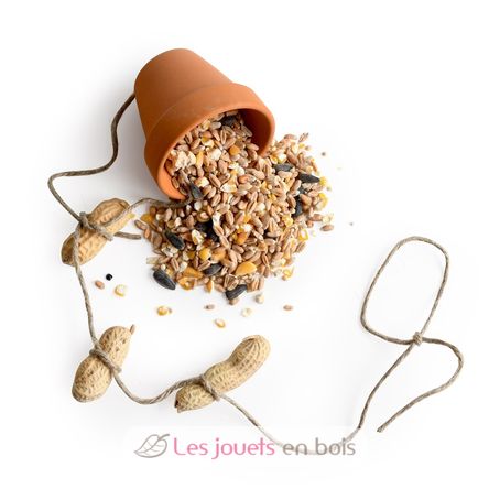 DIY box - 10 bird feeders to make RC-143194 Radis et Capucine 3