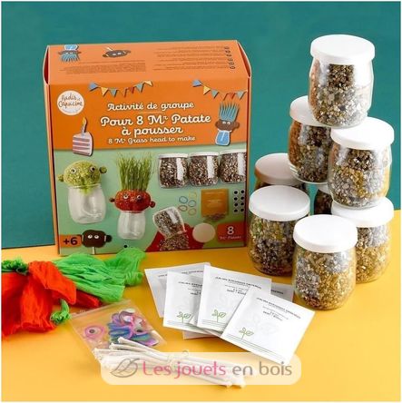 DIY box - Mr Grass head to make RC-143193 Radis et Capucine 5