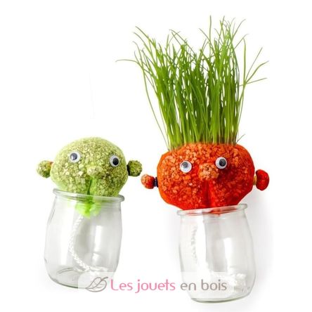 DIY box - Mr Grass head to make RC-143193 Radis et Capucine 2