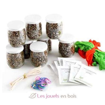 DIY box - Mr Grass head to make RC-143193 Radis et Capucine 3