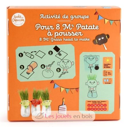 DIY box - Mr Grass head to make RC-143193 Radis et Capucine 4