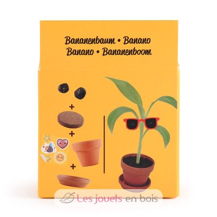 I grow my Banana tree RC-014265 Radis et Capucine 5