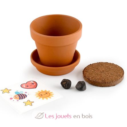 I grow my Banana tree RC-014265 Radis et Capucine 4