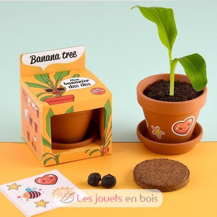 I grow my Banana tree RC-014265 Radis et Capucine 3