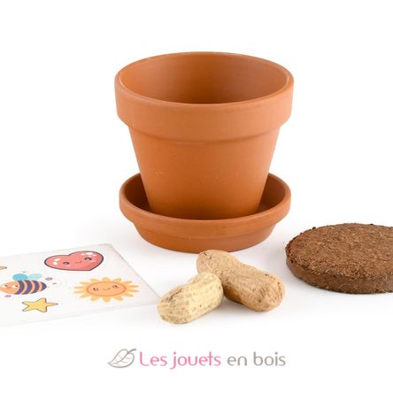 I grow my Peanuts RC-014264 Radis et Capucine 4